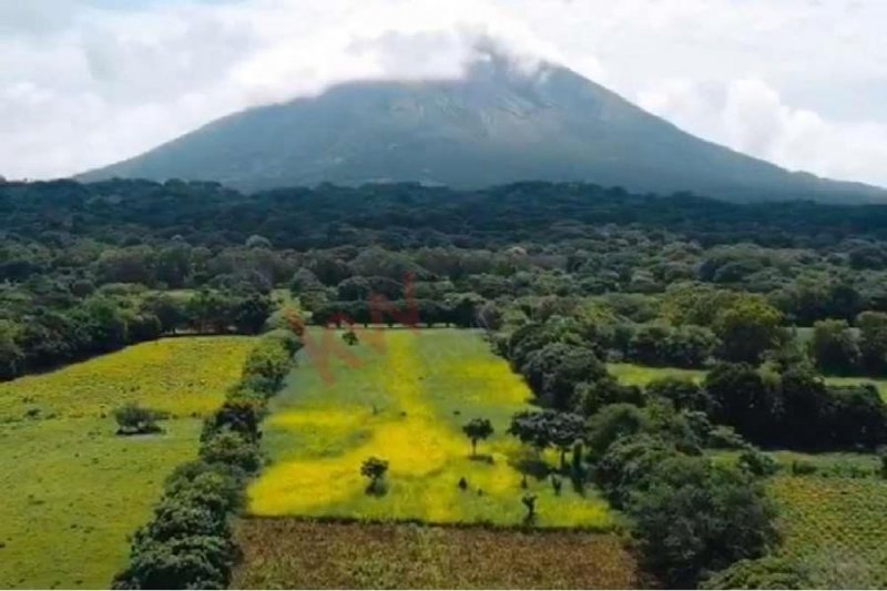 Lote en Venta en Moyogalpa Rivas, Rivas