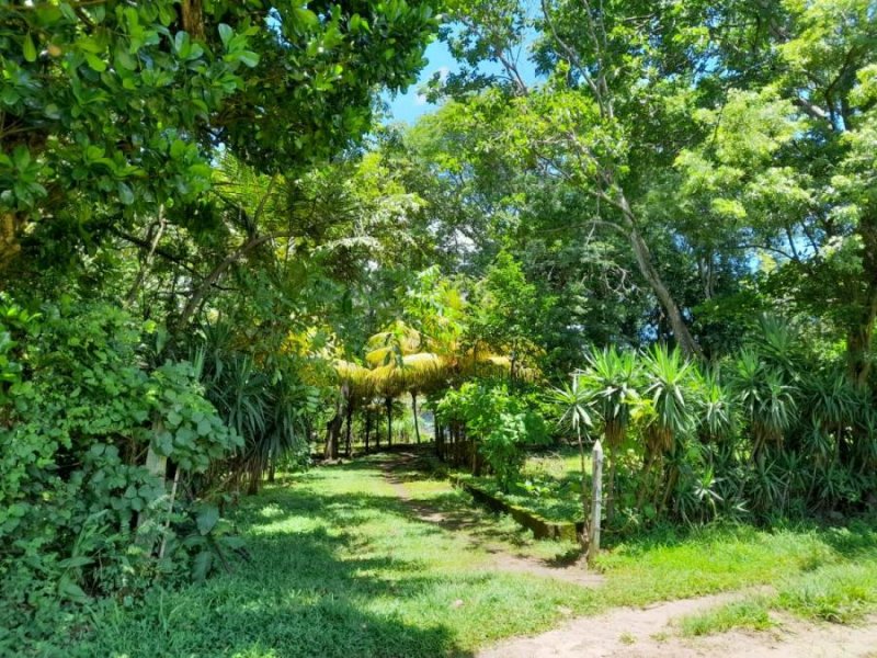 Terreno en Venta en Entre Nandaime y Jinotepe Km 55.5 Carretera Panamericana Sur; entre Jinotepe, Carazo