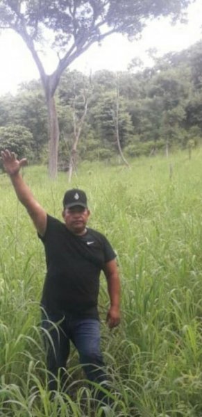 Finca en Venta en En el Centro Sauce Sauce, León