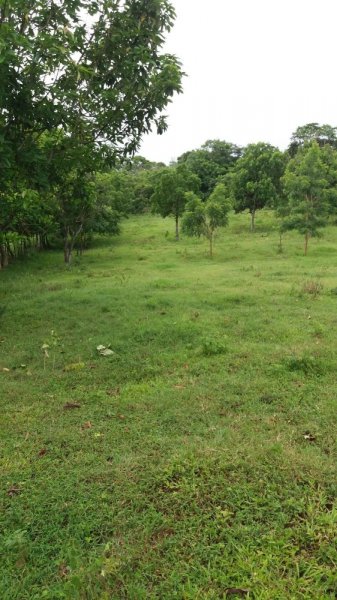 Finca en Venta en  Nindirí, Masaya