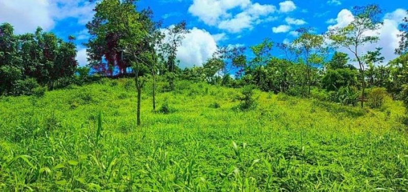 Venta de hermosa Finca